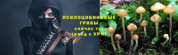 jwh Вязьма