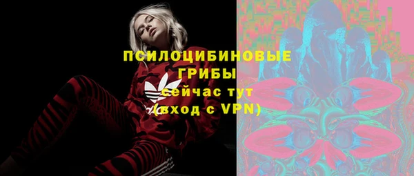 jwh Вязьма
