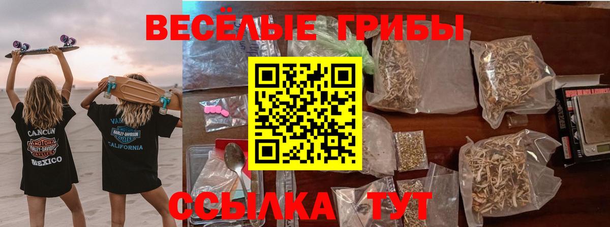 Елец  Галлюциногенные грибы прущие грибы  Вход с VPN 