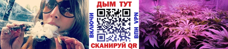 купить наркоту  нарко площадка Telegram  Бошки Шишки AK-47  Елец 